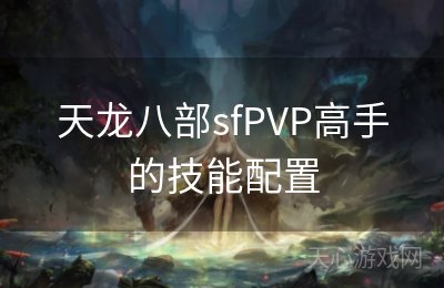 天龙八部sfPVP高手的技能配置