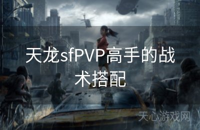 天龙sfPVP高手的战术搭配