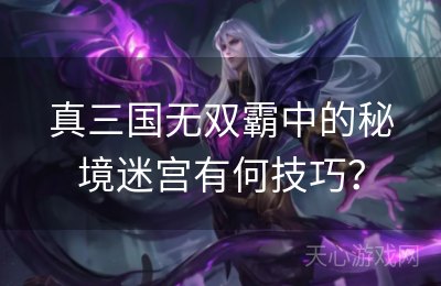 真三国无双霸中的秘境迷宫有何技巧？