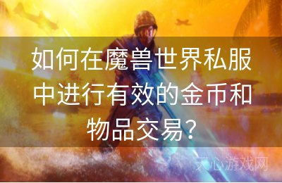 如何在魔兽世界私服中进行有效的金币和物品交易？