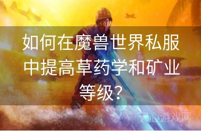 如何在魔兽世界私服中提高草药学和矿业等级？