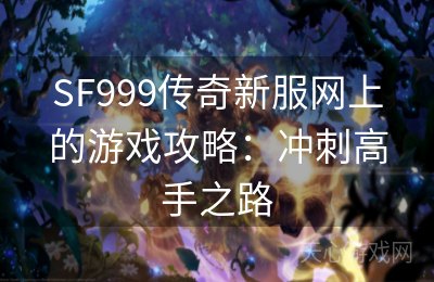 SF999传奇新服网上的游戏攻略：冲刺高手之路