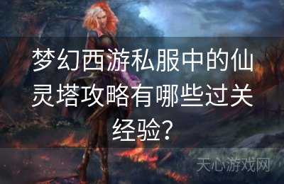 梦幻西游私服中的仙灵塔攻略有哪些过关经验？