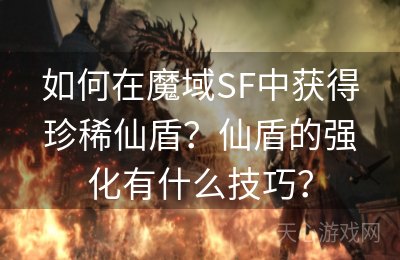 如何在魔域SF中获得珍稀仙盾？仙盾的强化有什么技巧？