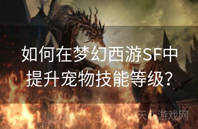 如何在梦幻西游SF中提升宠物技能等级？