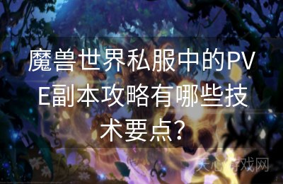 魔兽世界私服中的PVE副本攻略有哪些技术要点？