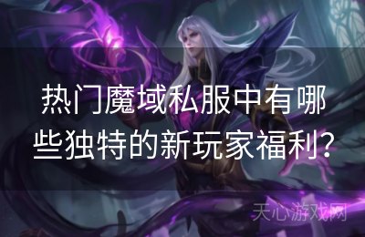 热门魔域私服中有哪些独特的新玩家福利？