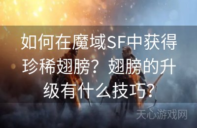 如何在魔域SF中获得珍稀翅膀？翅膀的升级有什么技巧？