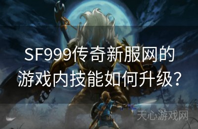 SF999传奇新服网的游戏内技能如何升级？