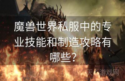 魔兽世界私服中的专业技能和制造攻略有哪些？